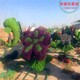 沂水圖