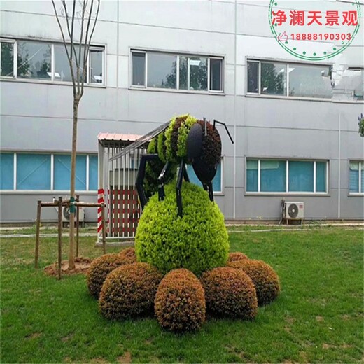 臨沭,綠雕廠家,綠雕設計制作安裝,凈瀾天景觀
