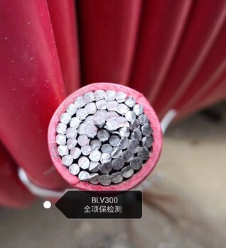 广州供应铝合金电缆型号