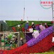 綠雕廠家圖