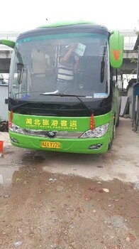 武漢青山專業旅游用車出租一般價格