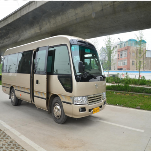 漢南商務(wù)用車一般價格