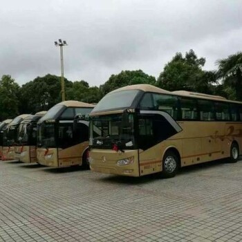 武昌從事通勤用車大巴車