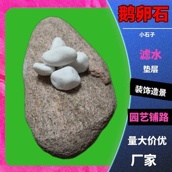 多肉植物裝飾鵝卵石水磨石用黑色碎石污水處理鵝卵石
