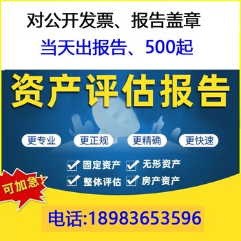 二手設備評估,審計報告