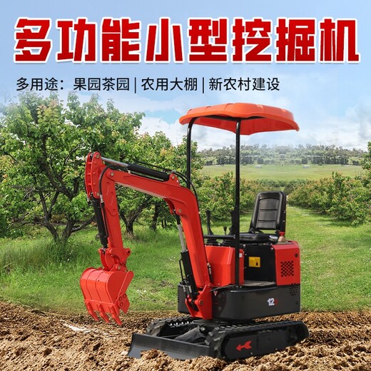 山鼎农用小型挖掘机,湖南益阳进口履带式小型挖掘机型号
