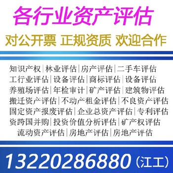 二手設備評估,審計報告