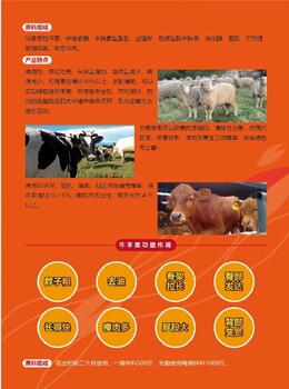 新疆發(fā)燒河南菲腸泰說明