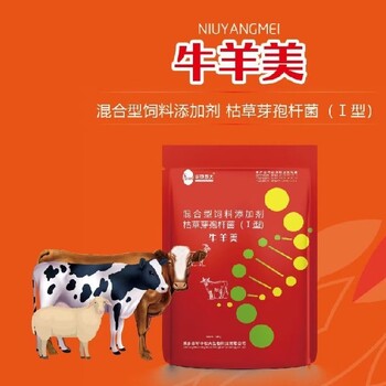 菲腸泰廠家菲腸泰功效功能