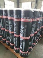 楚雄改性沥青防水卷材价格,SBS防水卷材厂家图片
