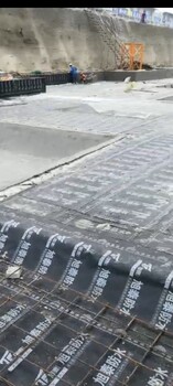 阿克蘇耐根穿刺防水卷材廠家
