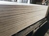 吉林白城竹胶板规格尺寸