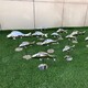 不銹鋼魚群雕塑圖
