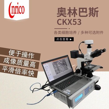 奥林巴斯CKX53生物显微镜经销商