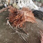 惠州铜废料回收多少钱一斤