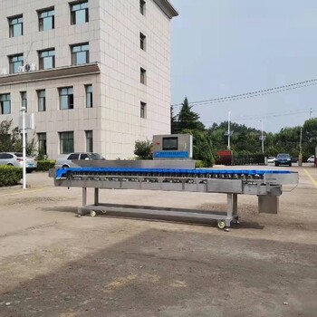 沈陽定制重量分選機價格