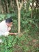 黄南果园果树资产评估损失评估