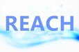 江门REACH,SVHC检测认证费用,svhc最新检测费用