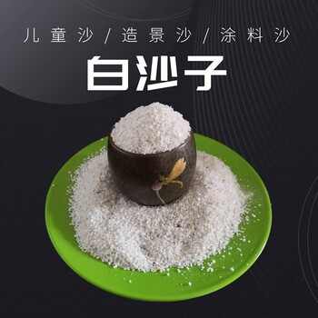 兒童娛樂20-40目白沙子環(huán)氧地坪砂裝飾造景白沙子