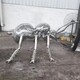 编织蚂蚁雕塑图