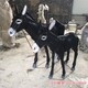 动物玻璃钢毛驴雕塑图