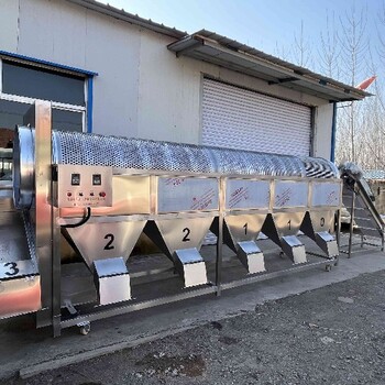沈陽銷售凍品藍(lán)莓分選機(jī)