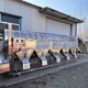 定制凍品藍(lán)莓分選機(jī)圖