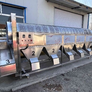 沈陽銷售凍品藍(lán)莓分選機(jī)