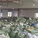 紹興回收庫存衣服價格,男女士裝童裝不限產(chǎn)品圖