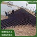上海蜂巢土工格室哪里有賣,蜂巢格護坡系統,高分子土工格室