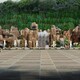 園林景觀設計圖