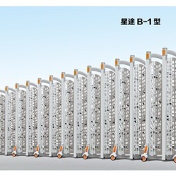 山东德州夏津县真石漆电动大门厂家