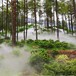 贵阳园林景观雾喷系统,（雾喷厂家，水雾环保）