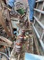 南寧市建筑工程機械設備回收有限公司圖片