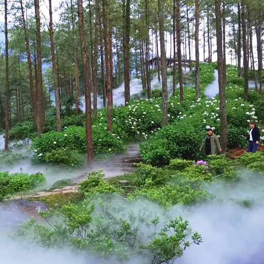 园林景观雾森系统降温,造景设备公司