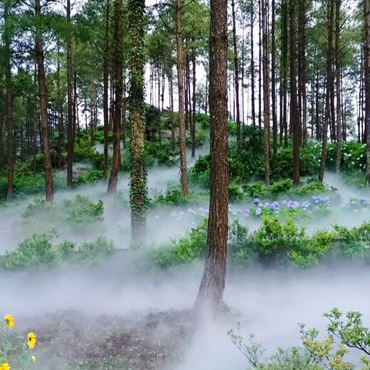 重庆商业街冷雾造景,（雾喷厂家，水雾环保）