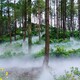 重庆园林景观水雾系统图