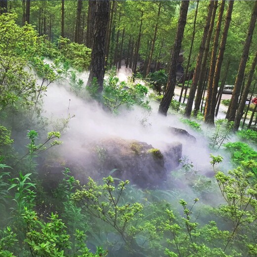 重庆花园水化雾造景（雾森厂家，水雾环保）