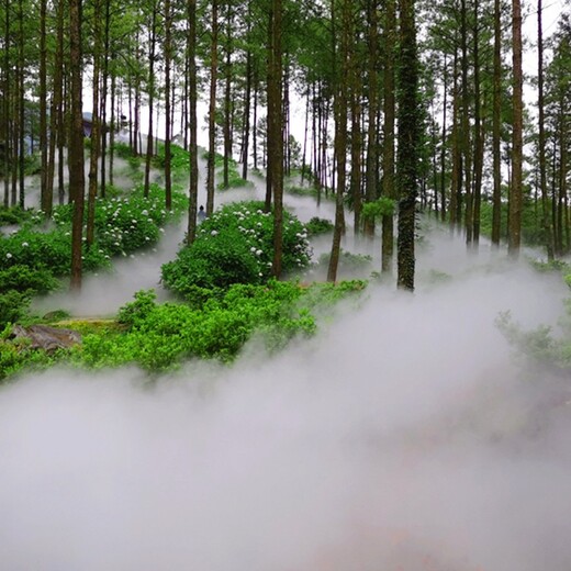 重庆河道水化雾系统,雾喷公司,水雾环保