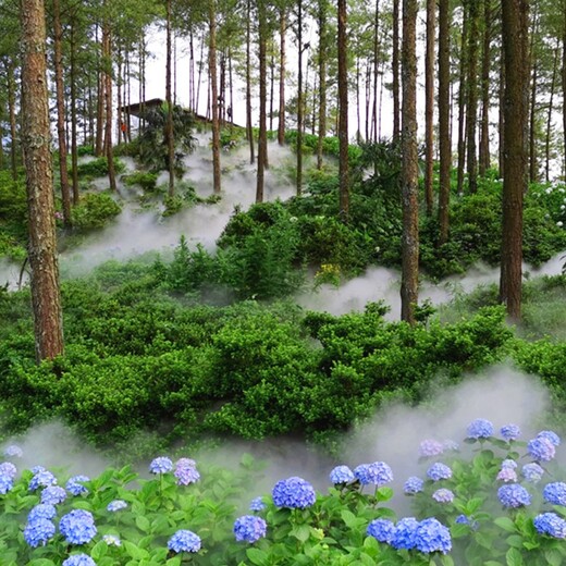 园林景观高压造雾,造景降温系统
