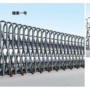 山東聊城生產廠家電動大門
