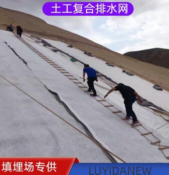 三维复合网芯8mm土工复合排水网格7mm复合排水网生产批发