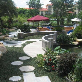 金山綠植養(yǎng)護(hù)多少錢(qián)一平方