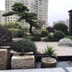 水洗石墻面施工方法圖