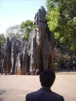 百色從事仿真塑石布置,仿真溶洞