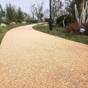 昆明樹(shù)圍池透水磚,樹(shù)池透水混凝土