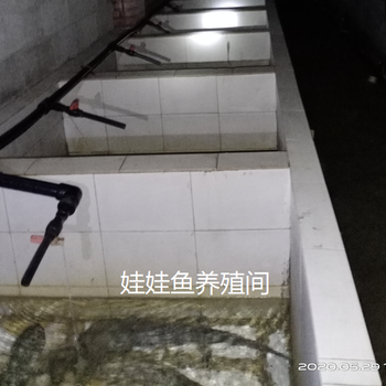 湘西魚塘資產(chǎn)評(píng)估