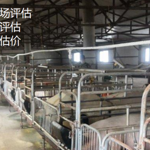 广东农村养殖场资产评估收费标准养殖场损失价格评估
