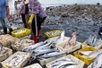 云南魚塘拆遷征收資產(chǎn)評估需要提供的資料魚塘污染損失評估