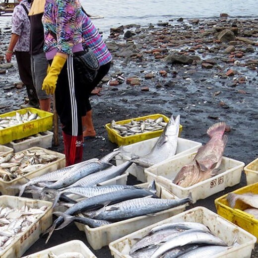 青海鱼塘资产评估拆迁补偿标准鱼塘污染损失评估